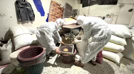 A mill in Gaza is using bird feed and other grains to make flour
