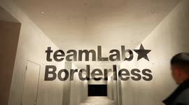 New teamLab Borderless museum opens in central Tokyo