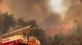 Melipilla Fire Department Successfully Controls Forest Fires in Vina del Mar, Chile
