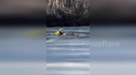 Firefighters Rescue Deer from Icy Waters in Owatonna, USA