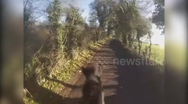 Shocking videos show dangers of driving too fast when passing horses on the road