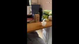 The curious case of the medicine cup that kept moving on its own