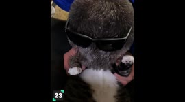 Best Viral Animals Compilation #7