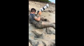Stunned Photographer Captures Rare Sea Snake Sighting!