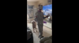 Grandma becomes a VR warrior and punches the dog