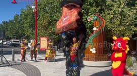 Lunar New Year street festival launched in Dickson, Australia