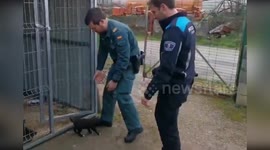 9 Adorable Puppies Rescued After Being Abandoned Near Nalon River, Spain