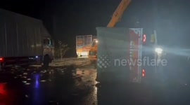 Tonnes of live fish end up scattered along motorway after lorry overturns