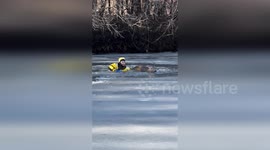 Fireefighter rescues deer stuck in frozen lake in Minnesota