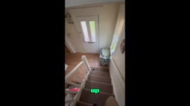 Waking Up My Deaf XLBully Called Alaska, Her Reaction Is Priceless