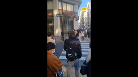 Japanese Pedestrians Obey Traffic Laws