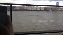 Second alleged sighting of mysterious Thames 'creature'