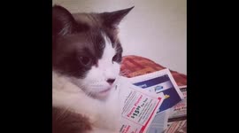 Mooshie doing extreme couponing with mom