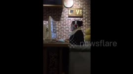 Woman smashes space bar key in bizarre manner while playing game