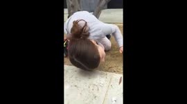 Six-year-old girl rescues ducklings