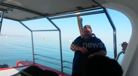 Pelican stealing seals fish