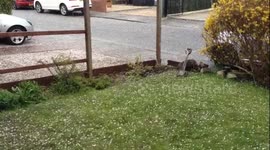 Huge ice pellets hit Cleethorpes during hail storm
