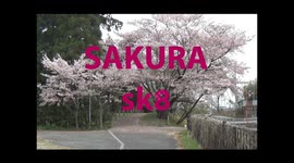 Skateboarding under the beautiful cherry trees