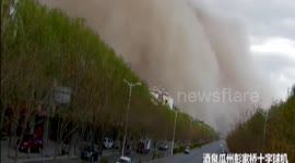 Awe-inspiring sandstorm hits northwest China