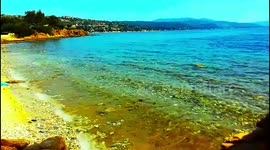 Rellaxing video of a beautiful beach and gulls sounds