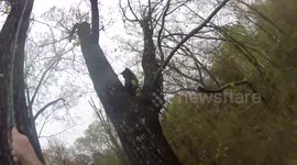 Helmet cam footage of cat rescue
