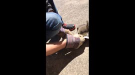 Rescued !! - Squirrel stuck in insect trap.