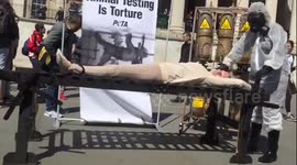 PETA founder  Ingrid Newkirk's to be tortured in protest of defence ministry  tests on animals