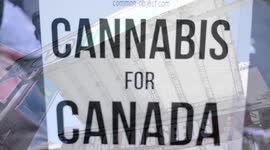 Marijuana users  togather at Yonge-Dundas Square in Toronto