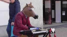 Funny Birmingham Horse