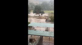 Floodwaters Threaten Horse Ranch