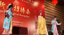 Dutch dignitaries express optimism for better China-Netherlands ties in Year of Dragon