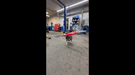 Grand slam! Dog crushes snowball with hellacious swing