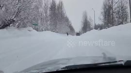 Moose spotted feeding on snowy road amidst cars in Alaska