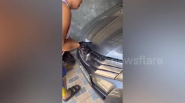 Stray cat and kittens rescued from car engine