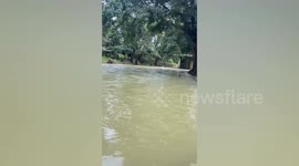 Good Samaritans rescue kids swept away by swollen river