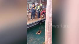 British tourist missing after 'falling into water while kayaking in Thailand'