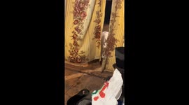 Jealousy unleashed: hilarious showdown between white and stray gray cat in Avdiivka home
