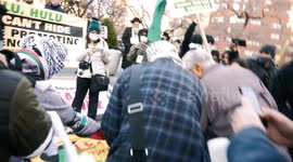 Brave Woman Defends Israeli Flag from Palestinian Demonstration at Anti-Hulu Rally in New York's Union Square