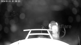 Buck Eats From Bird Feeder