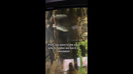 Filmer baffled as fish stop swimming at same time at aquarium in Oklahoma