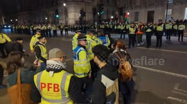 Woman arrested for 'spreading racial hatred' during Stop the War protest in London