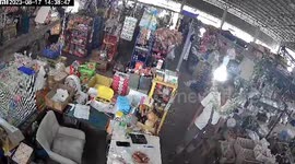 Protective cockatoo guards owner's money