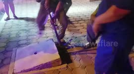 Animal rescuers pull stray puppies soaking in sewage drain