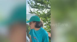 Macaque removes tourist's cap to search his head for lice