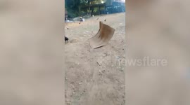 Pet dog pulls large sleeping mat to play with in yard