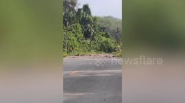 Soldier killed in terror attack in southern Thailand