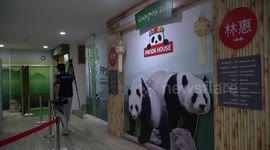 China gifts new panda to zoo in northern Thailand