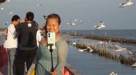 Locals feed migrating seagulls swarming around Thai coast