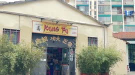 Italian Kung Fu enthusiast's passion for dragon dance
