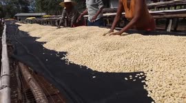African coffee producing countries urged to add value to coffee export